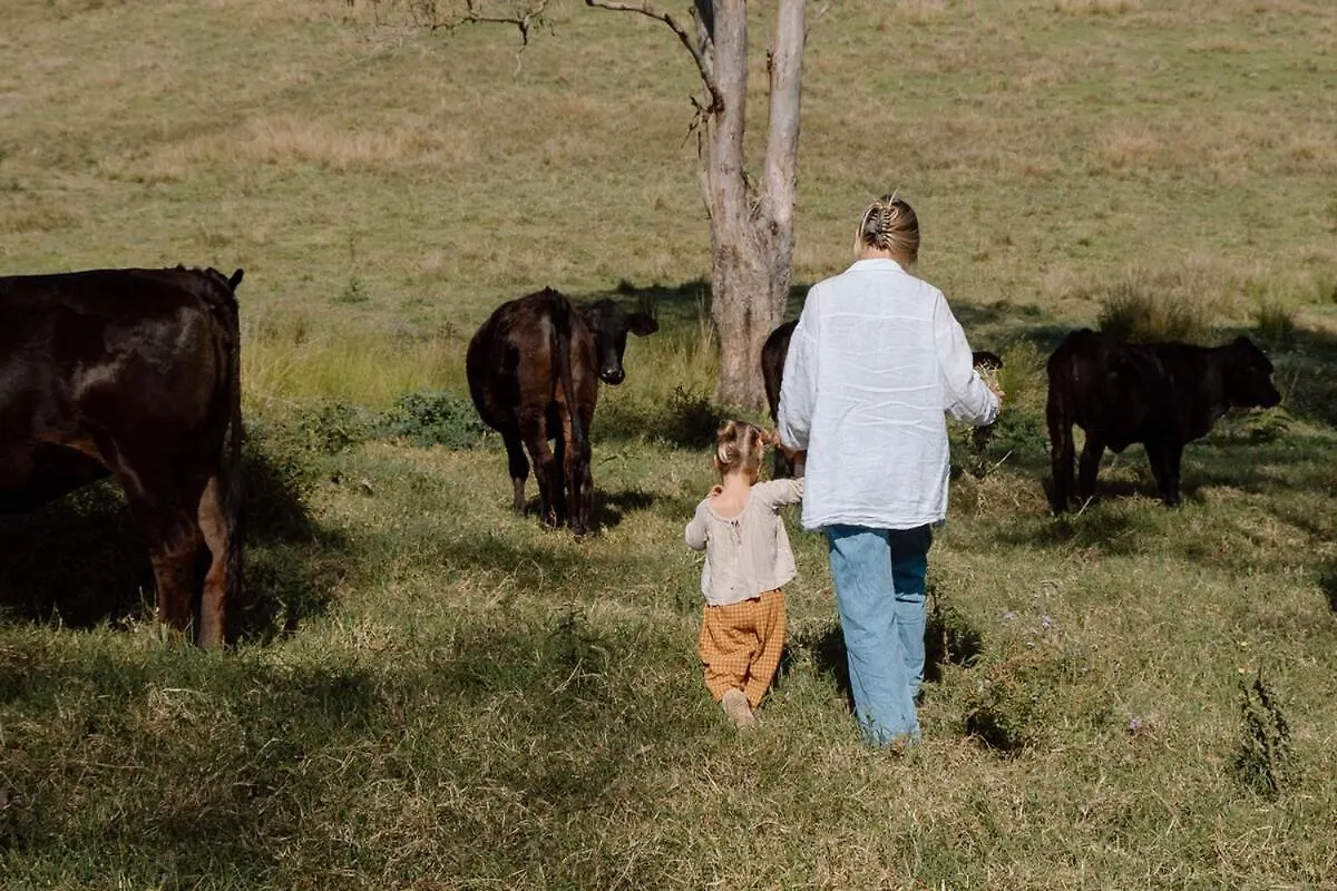 Luxe Farmstay, Main House And Brand New Tiny Home, Animals And Views! Obi Obi Holiday home